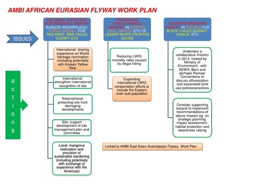 Crockford AMBI African Eurasian flyway plan action diagram