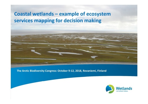 Coastal wetlands – example of ecosystem services mapping for decision making: Liudmila Sergienko