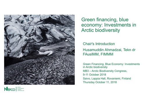 Financing green investments in the Arctic and Barents Region- NEFCO's near term cooperation: Husamuddin Ahmadzai