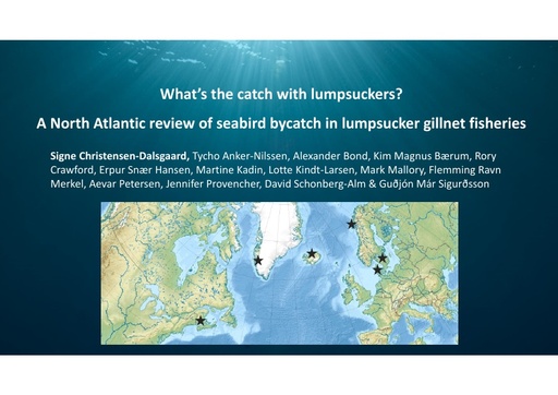 What’s the catch with lumpsuckers? A review of seabird bycatch in lumpsucker gillnet fisheries in the North Atlantic: Signe Christensen-Dalsgaard