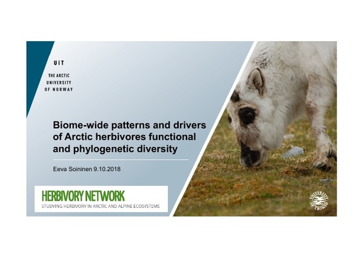 Biome-wide patterns and drivers of Arctic herbivores functional and phylogenetic diversity: Eeva Soininen