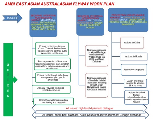 Evgeny AMBI East Asian Australasian flyway plan of action diagram 2 dec