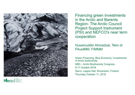 Financing green investments in the Arctic and Barents Region- The Arctic Council Project Support Instrument (PSI) and NEFCO's near term cooperation: Husamuddin Ahmadzai