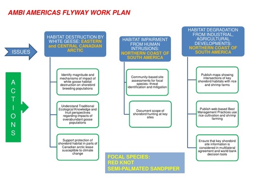 Clay Americas flyway plan issues actions poster
