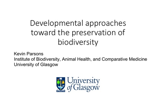 Developmental approaches toward the preservation of biodiversity through an understanding of its origins: Kevin Parsons