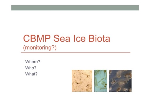 Bluhm CBMP Sea Ice discussion TrondheimDec2014 pdfx