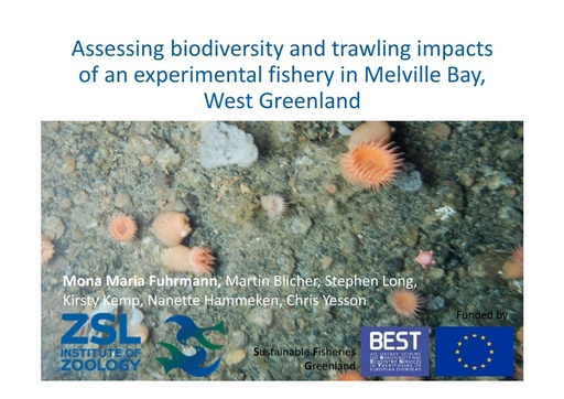 Epibenthic community structure in Melville Bay, West Greenland – assessing biodiversity and trawling impacts of an experimental fishery from underwater imagery: Mona Maria Fuhrmann