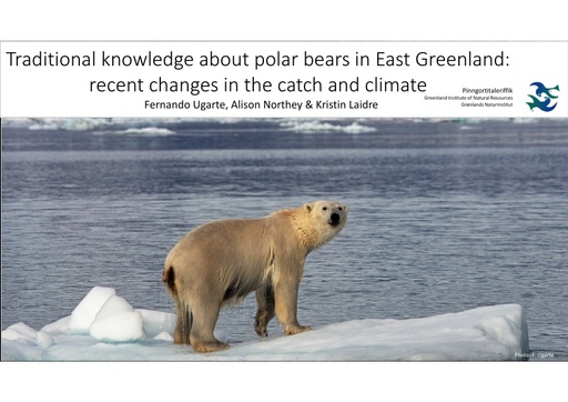 Traditional knowledge about polar bears in East Greenland: recent changes in the catch and climate: Fernando Ugarte