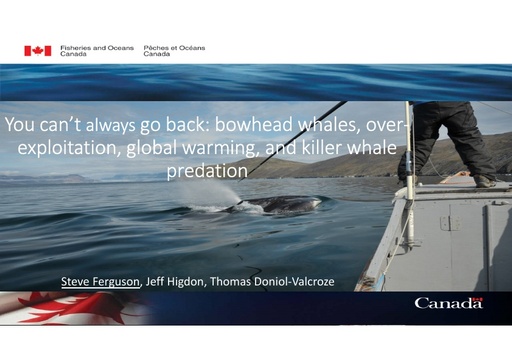 You can’t always go back: bowhead whales, over-exploitation, global warming, and orca predation: Steven Ferguson