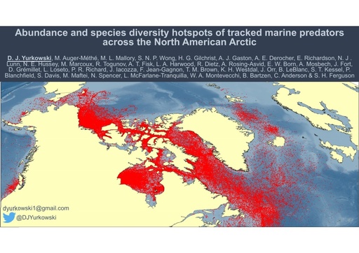Abundance and species diversity hotspots of tracked marine predators across the North American Arctic: David Yurkowski