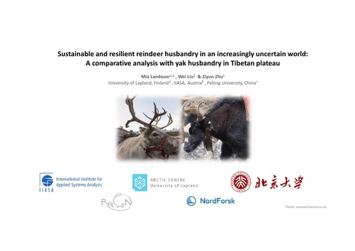 Sustainable and resilient reindeer husbandry in an increasingly uncertain world: A comparative analysis with yak herding in Tibetan plateau: Mia Landauer