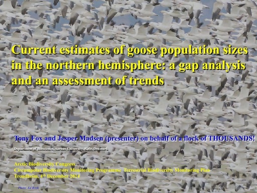 Madsen CBMP Terrestrial Goose populations 4 12 2014