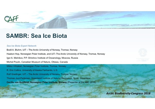 Sea ice biota key findings and information gaps: Cecilie von Quillfeldt