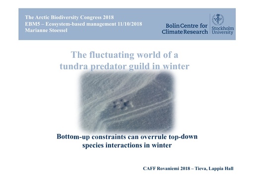 The fluctuating world of a tundra predator guild: Bottom-up constraints overrule top-down species interactions in winter: Marianne Stoessel