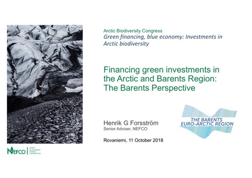 Financing green investments in the Arctic and Barents Region- The Barents Hot-spots Facility (BHSF) and NEFCO's near term cooperation: Henrik G. Forsström
