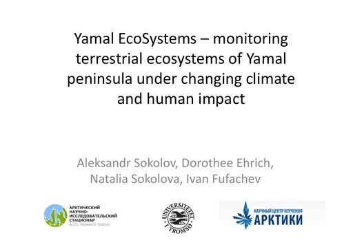 Yamal EcoSystems – monitoring terrestrial ecosystems of Yamal Peninsula under changing climate and human impact: Aleksandr Sokolov