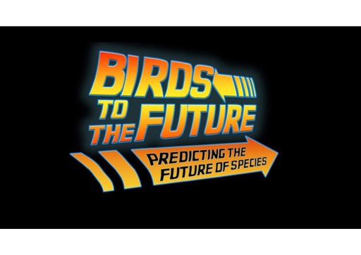 Predicting the future for endangered birds: Sirke Piirainen