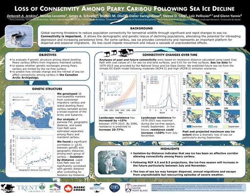 Loss of connectivity among Peary caribou following sea ice decline